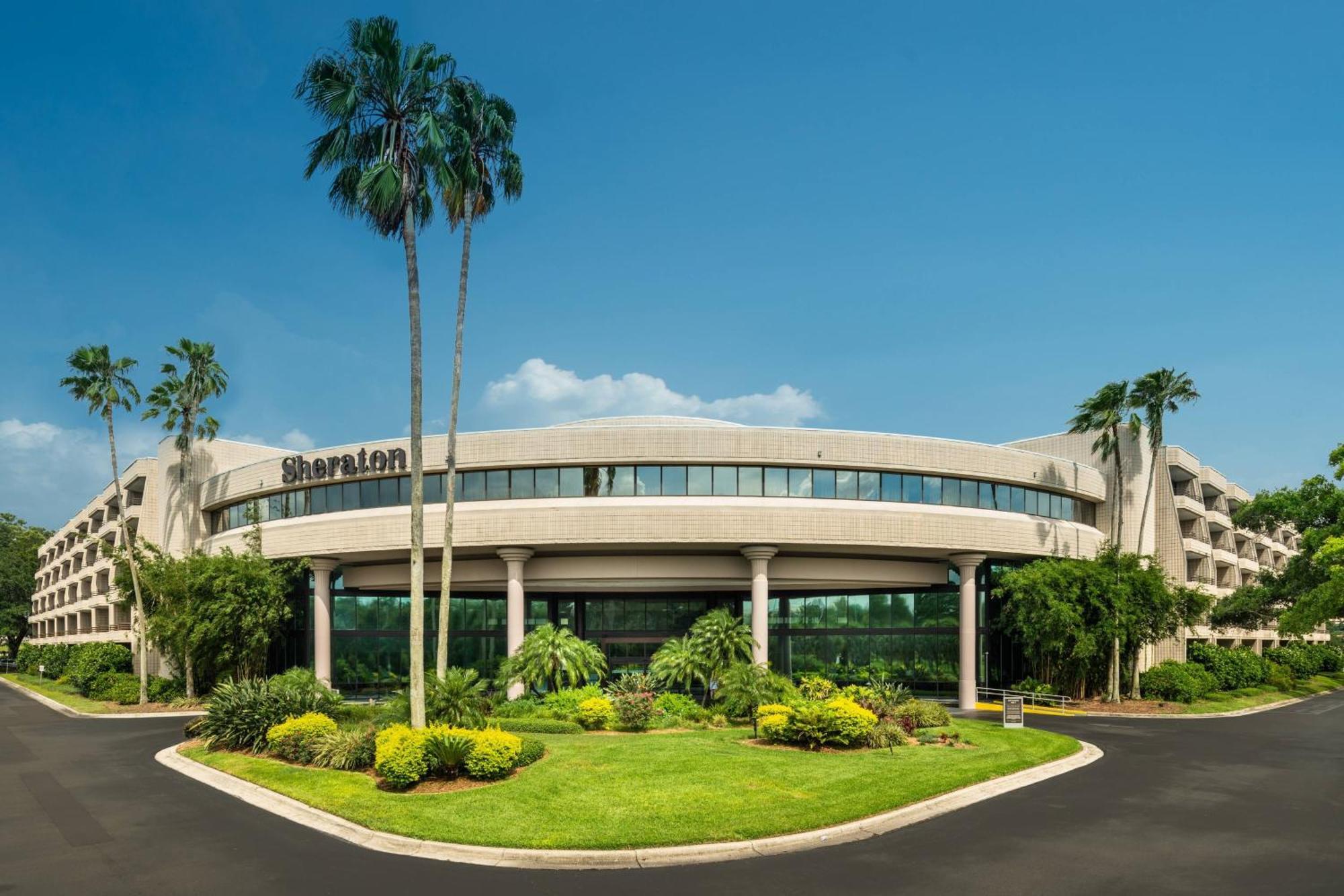 Hotel Sheraton Tampa Brandon Mango