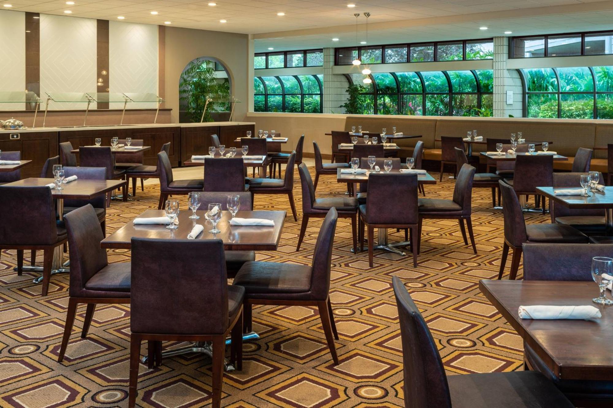 Hotel Sheraton Tampa Brandon Mango