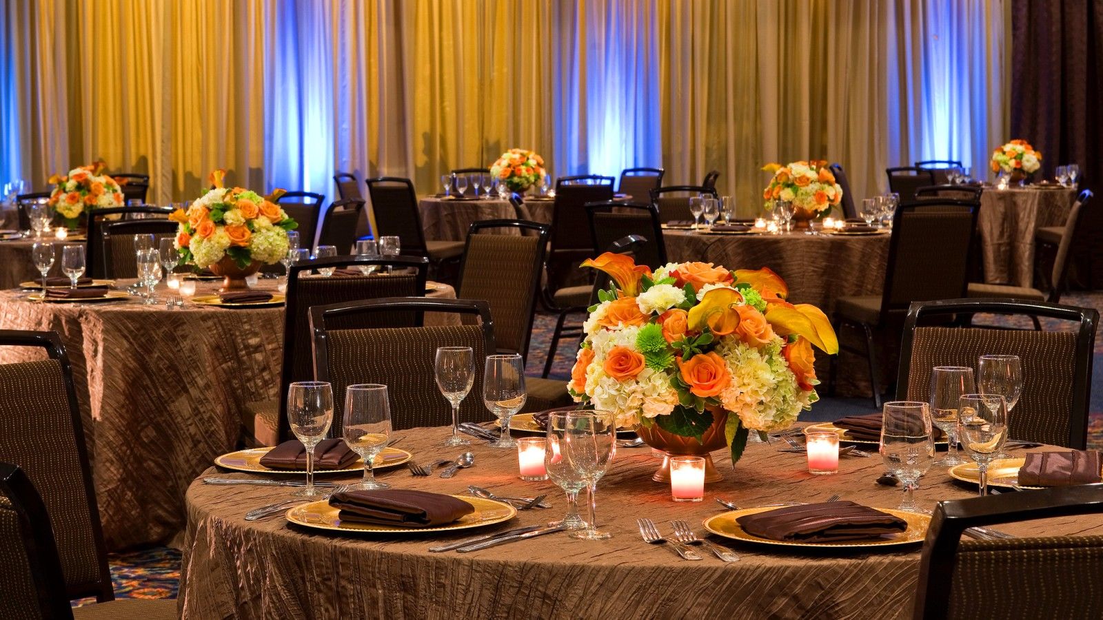 Sheraton Tampa Brandon 3*