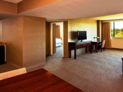 Hotel Sheraton Tampa Brandon Mango