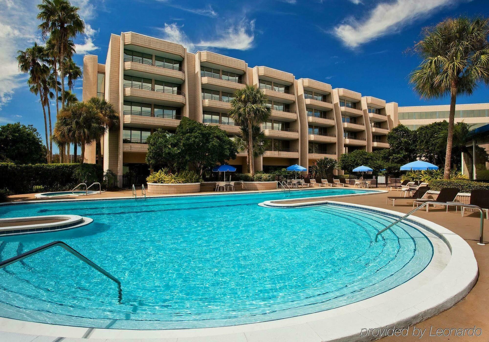 Sheraton Tampa Brandon Mango